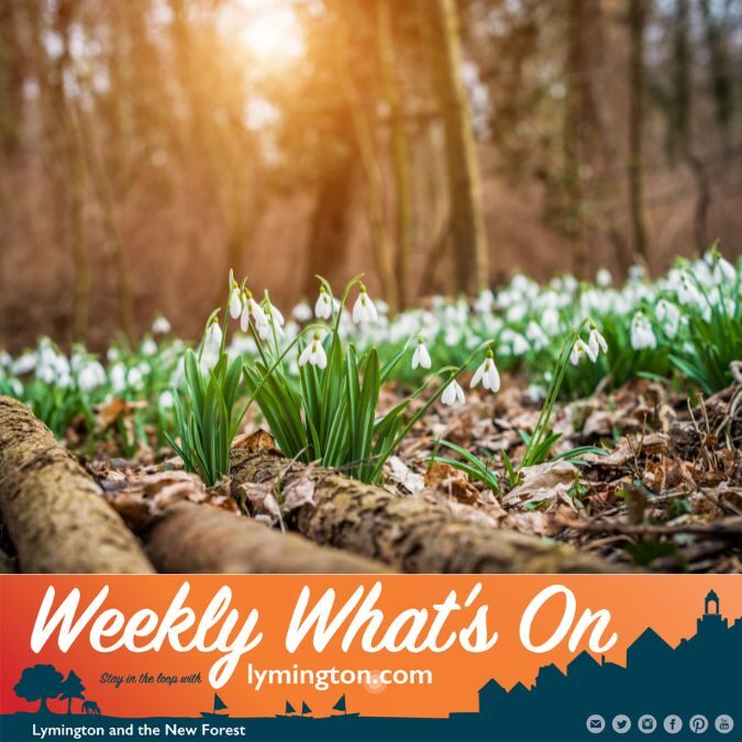 Snowdrops weekly what's on Lymington and New Forest