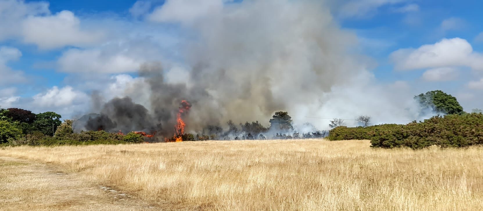 wildfire pennington common july 2022