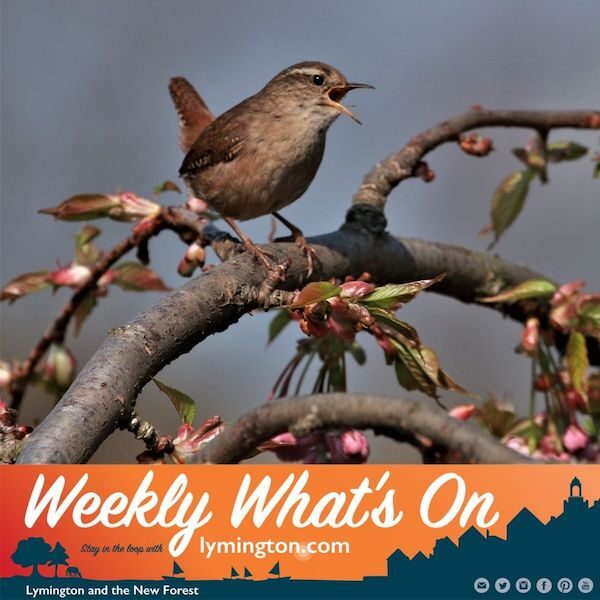 Wren Whats on over Easter in Lymington and New Forest
