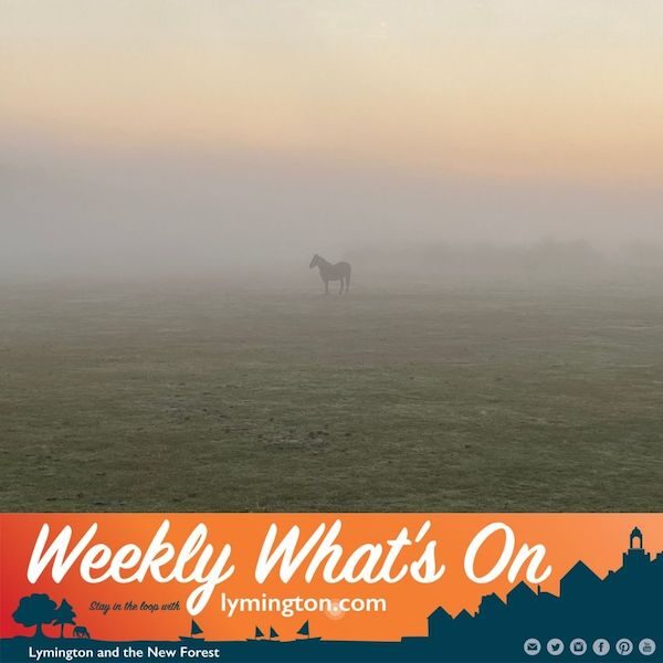 New Forest misty sunrise Weekly Whats On by Lymington.com