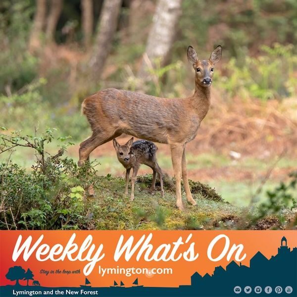 New Forest doe and baby