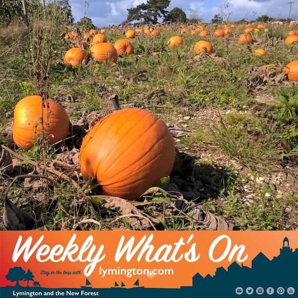 Goodalls pick your own pumpkins Weekly Whats On by Lymington.com