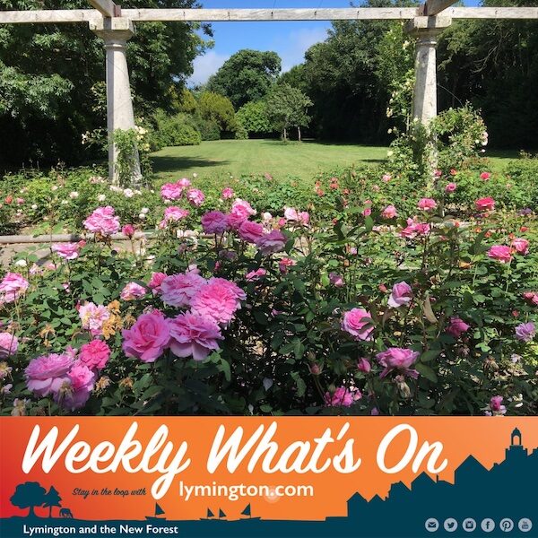 Woodside Gardens roses - what's on in Lymington and New Forest