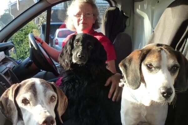 Oscar pet foods loved by dogs delivered by Clare