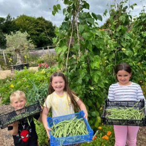 patricks patch - children carrying vegetables