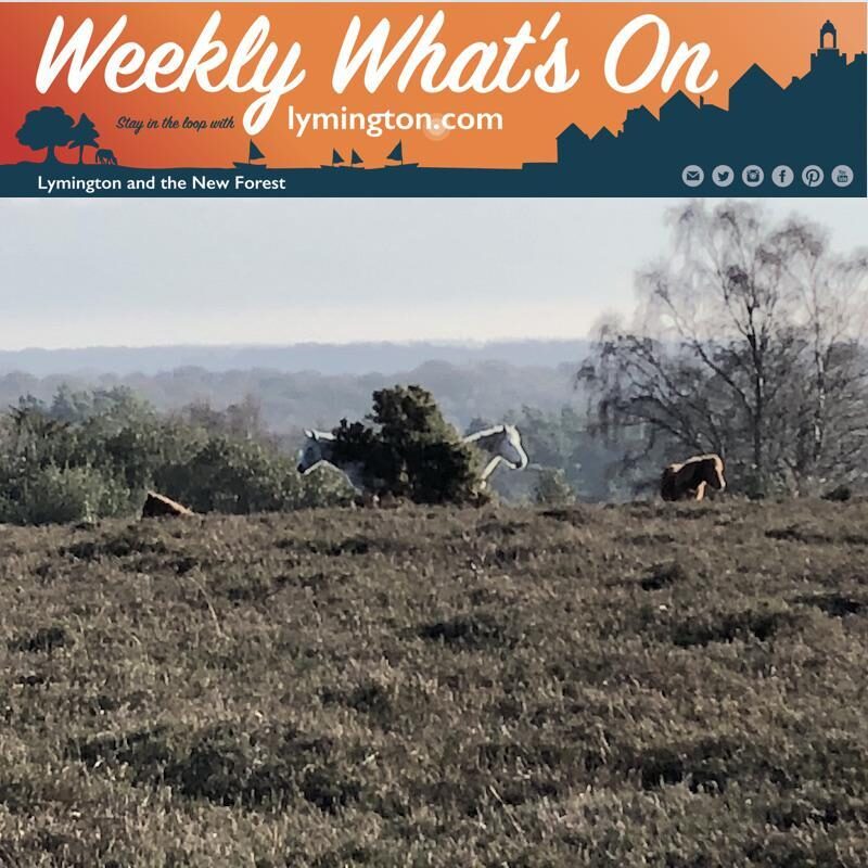 Weekly What's On in the New Forest