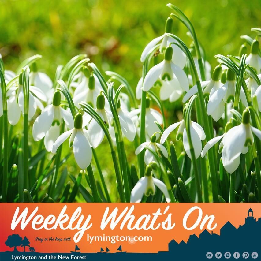What's on in the New Forest this weekend?