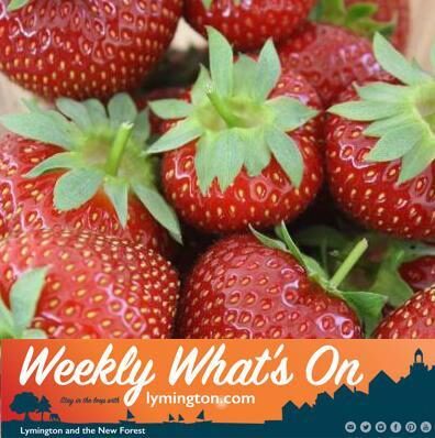 strawberries from Goodalls pick your own farm in Lymington