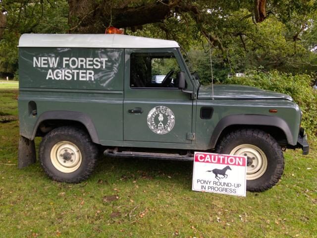 New Forest drifts: 2020 dates and where to avoid
