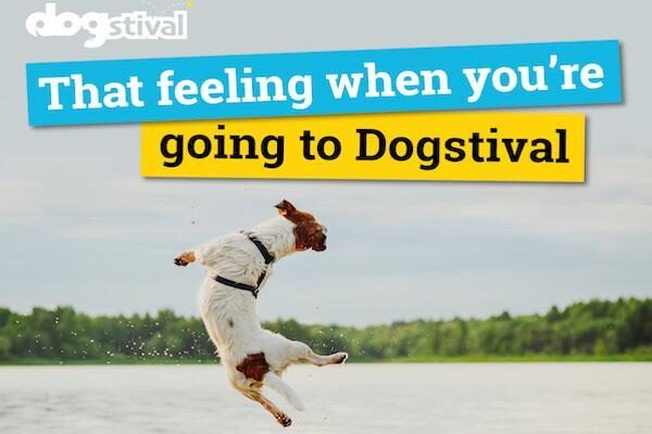 Dogstival promises a fantastic day out for dogs and dog lovers!