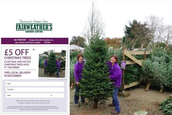 All set for a magical Christmas at Fairweather's