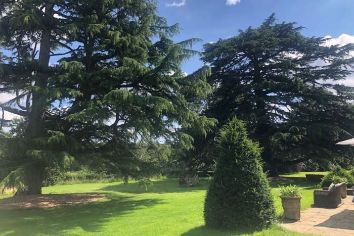 Part of gardens at Lime Wood
