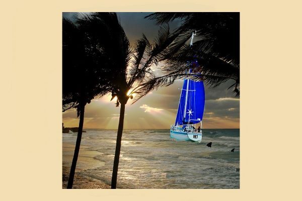 Cartoon of yacht sailing away followed by shark