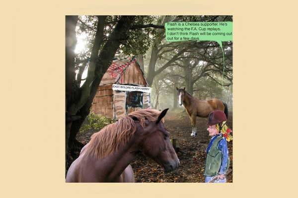 ponies in forest cartoon