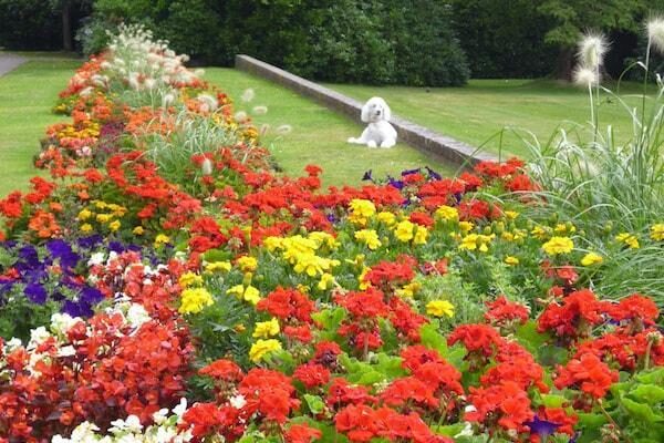 Help Lymington and Pennington win South & South East in Bloom awards!