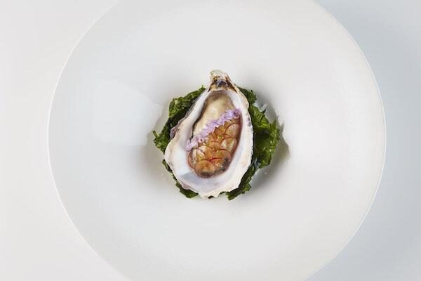 The Montagu Arms Oyster 