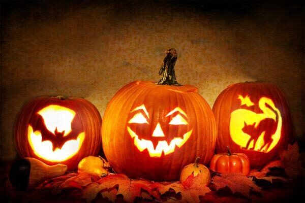 pumpkins for halloween