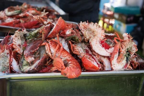 2019 Events in the New Forest and surrounding areas