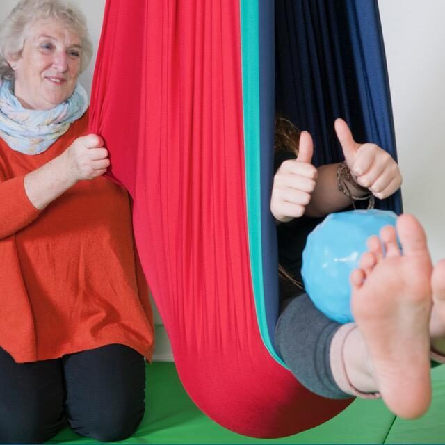 Launch of MindSenseAbility near Lymington