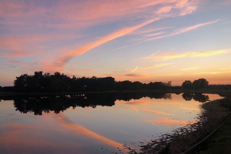 Summer Solstice at Hatchet Pond