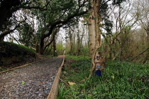 New woodland walk and nature trail in Milford on Sea