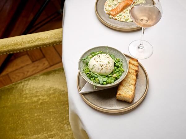 Terrace Dishes 