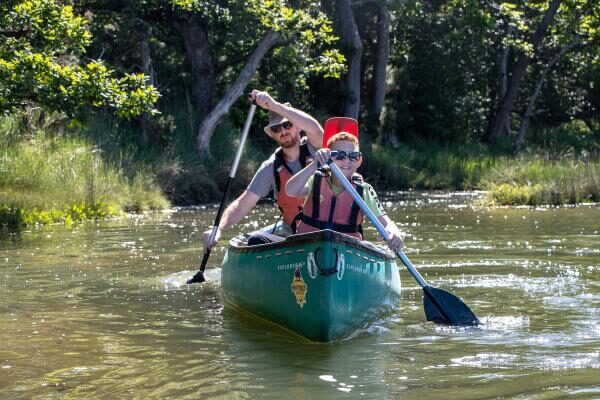 Father’s Day Papa’s Paddle to the Pub with New Forest Activities